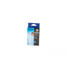 Epson Genuine 252XL Cyan Ink Cartridge (C13T253292) - 1,100 pages